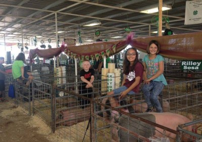 Kearny Koyotes 4-H will be back at 11-mile Corner this week to complete in the Jr. Livestock Show along with other competitions during the Pinal County Fair. Pictured here are Hunter Day, Bella Wernett and Rilley Sosa during last year’s show. (Photo courtesy of Kearny Koyotes) 