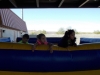 Jumping_castle_time_for_Mammoth_STEM_Students3_(2)